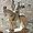 Hotel Verona Italien - Ledro See Italien - Limone Italien