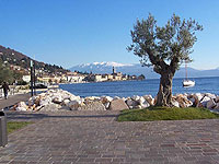 Gardasee