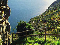 Gardasee